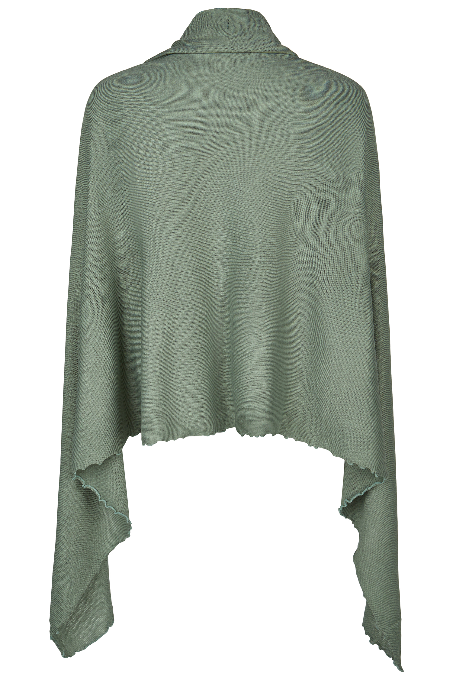 Poncho Cleo #2